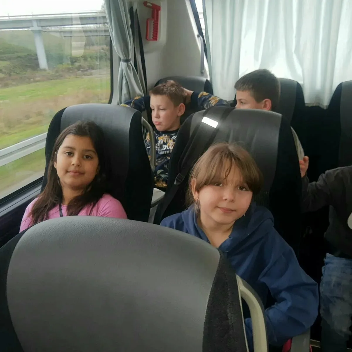 IMG_20231122_184727_911.jpg IMG_20231122_184727_911.jpg